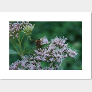 Bee On Water Hemp Posters and Art